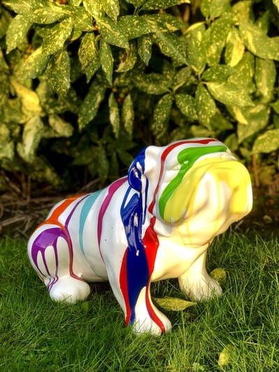 Engelse buldog druppel wit zit squishy face35 cm hoog - polyester - polystone - hoogkwalitatieve kunststof - decoratiefiguur - interieur - accessoire - voor binnen - voor buiten - cadeau - geschenk - tuinfiguur - tuinbeeld - nieuwjaar - verjaardag