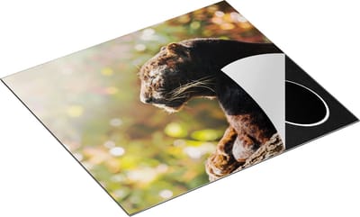 Chefcare Inductie Beschermer Zwarte Panter vanaf de Zijkant - 60x50 cm - Afdekplaat Inductie - Kookplaat Beschermer - Inductie Mat