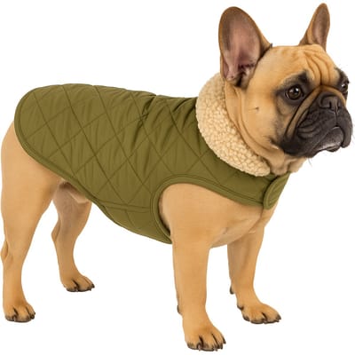 Hondenjas – Flamingo Bonnie – honden jas – hondenjasjes winter – hondenjas waterdicht – 35 cm – A:35cm B:34-38cm C:50-54cm – groen