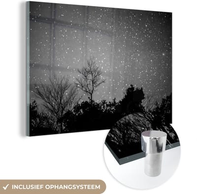 MuchoWow® Glasschilderij 60x40 cm - Schilderij acrylglas - Sterrenhemel met bomen - zwart wit - Foto op glas - Schilderijen