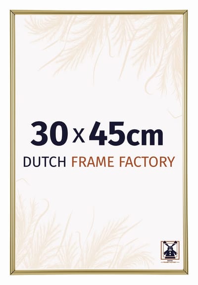 Fotolijst 30x45 cm - Kunststof - Goud - Angers