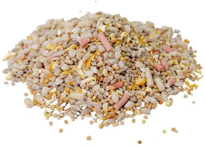 CJ Wildlife - Knibbel en Knabbelmix 2.5kg - tuinvogelvoer - Voor kleine vogels - Met vet & meelwormen
