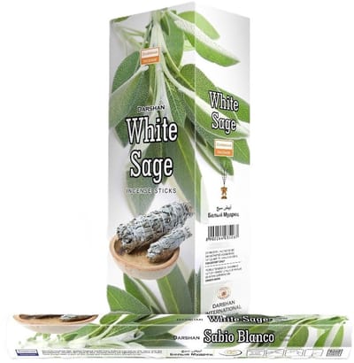 Darshan white sage wierook - doos hexa 6 pakjes