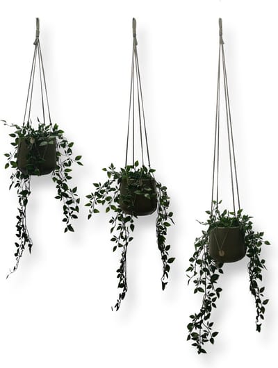 Voordeelset van 3 Plantenhangers Zonder Kwast - Olijfgroen - 60, 80 en 100 cm - Katoenkoord - Handgemaakt in ons Macramé Atelier - 3 Stuks - Let op: Exclusief Pot - Inclusief Verzendkosten