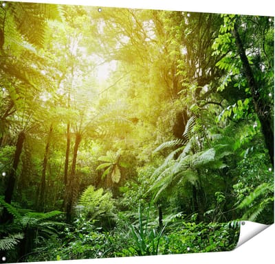 Gards Tuinposter Tropische Jungle met Zonneschijn - 150x120 cm - Tuindoek - Tuindecoratie - Wanddecoratie buiten - Tuinschilderij