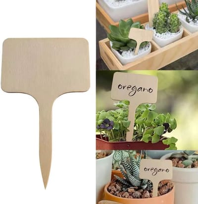Houten Plantenetiketten - Plantkaartjes - Naamkaartjes - 20 stuks - Kruidennamen - Plantennamen - Kruidenetiket - 10 x 6 cm - Moestuin - Plantenlabels - CHPN