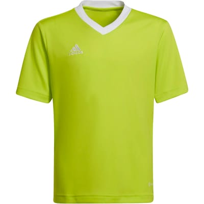 adidas - Entrada 22 Jersey Youth - Kids Groene Voetbalshirt -152