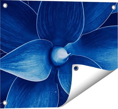 Gards Tuinposter Blauwe Agave Plant - Bloem - 50x40 cm - Tuindoek - Tuindecoratie - Wanddecoratie buiten - Tuinschilderij