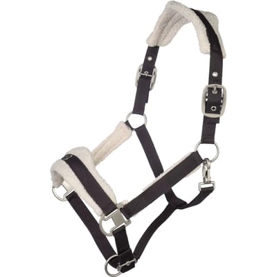 Bont halster voor paard Lauria Garrelli Arezzo