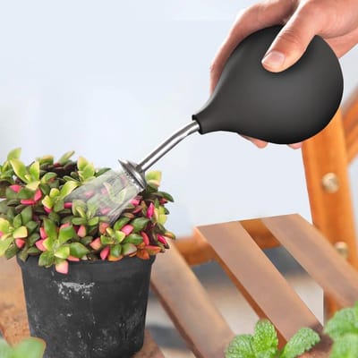 Gietsproeier voor kleine planten - Stevige balsproeier met roestvrijstalen schenktuit