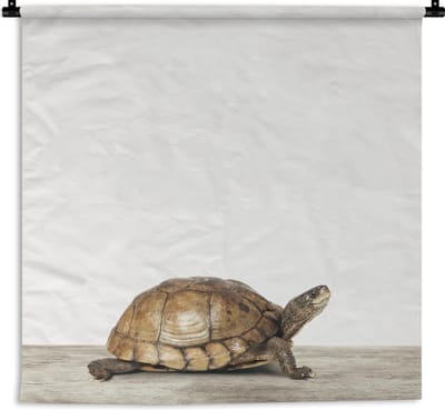 Wandkleed Animalprintshop - Schildpad dierenprint kinderkamer Wandkleed katoen 60x60 cm - Wandtapijt met foto