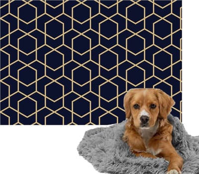 Ulticool – Zachte Fleece Deken – 100x150 cm – Blauw Goud – Dubbelzijdige Plaid voor Huisdier – Versiering voor huiskamer – Accessoire op de bank – Achterbank Auto – Kofferbak – voor Kat Hond Hondenmand