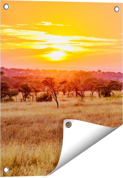 Gards Tuinposter Zonsondergang in de Savanne - 40x50 cm - Tuindoek - Tuindecoratie - Wanddecoratie buiten - Tuinschilderij