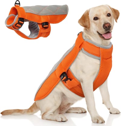 Koelvest hond-koeljas hond-Koelvest voor honden - ademend en verstelbaar jack - met reflecterend mesh - zorgt voor langdurige verkoeling - oranje -L