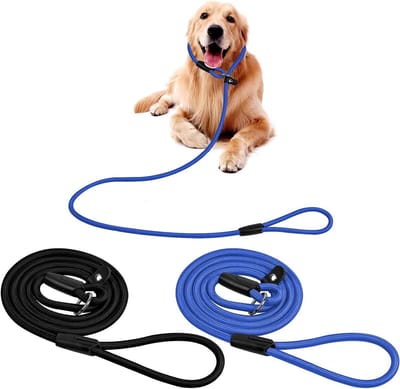 Verstelbare Nylon Hondenriem, 2 Stuks, Geschikt voor Kleine en Middelgrote Honden, Duurzame Touwriem voor Wandelen en Training