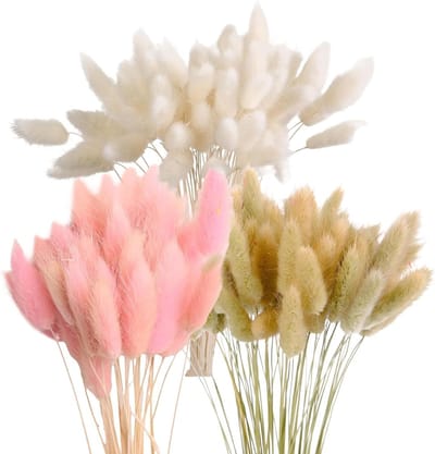 Gedroogd pampasgras 43 cm - 180 stuks natuurlijke droogbloemen - hazenstaartgras - decoratie voor bloemen - bruiloft woonkamer - tafel slaapkamer