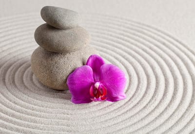 Fotobehang Zen Garden Flower | XL - 208cm x 146cm | 130g/m2 Vlies