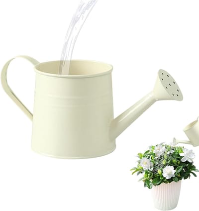 Gieter, 1 liter, ijzeren modern tuingereedschap | Moderne gieter voor kamerplanten, voor huisdecoratie, kas, boerderij, appartement, buiten, tuin, gazon, terras