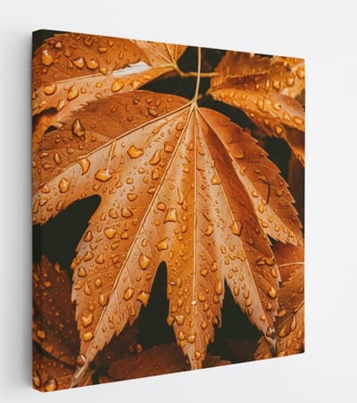 Saammp Canvas Schilderij - Herfstbladeren met Druppels - Natuur - Abstract - 20x20 - Foto op canvas - Wanddecoratie - Muurdecoratie Woonkamer - Kantoor Decoratie