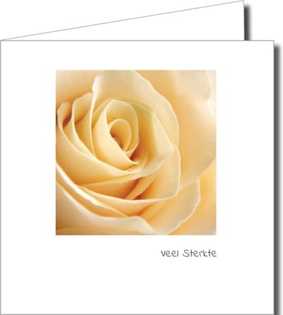 Condoleance Wenskaarten Pakket – 10 Stuks met Fotografische Afbeeldingen van Natuur en Rust (14,5 x 14,5 cm)