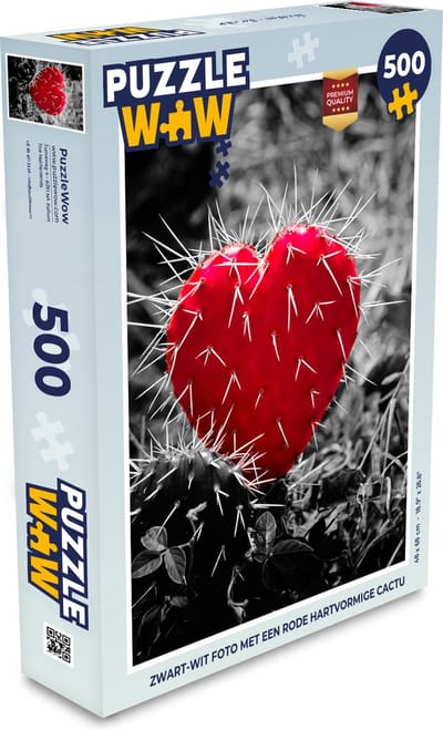 Puzzel Zwart-wit foto met een rode hartvormige cactus - Legpuzzel - Puzzel 500 stukjes