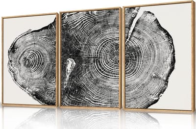 Abstracte Muurkunst - Boomring Prints - Woonkamer Decoratie - Suède Canvas Materiaal - 16x24 Inch Set - Zwart Wit