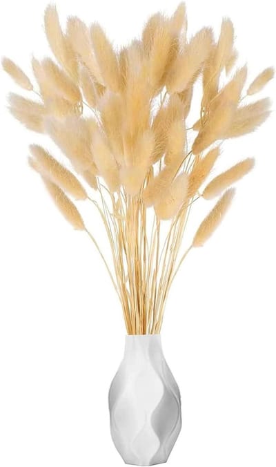 Gedroogd Pampasgras - Droogbloemen Boeket - Interieur Decoratie - Zuiver Natuurlijk - 30 Stuks - Natuurlijk