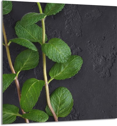 TMK ArtDeko - Snijplank van gehard glas - 60x65 cm - Beschermend en veelzijdig