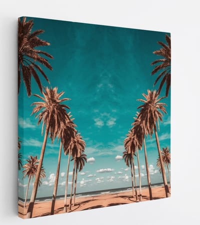 Saammp Canvas Schilderij - Palmbomen aan zee - Landschap - Natuur - 20x20 - Foto op canvas - Wanddecoratie - Muurdecoratie Woonkamer - Slaapkamer decoratie - Canvas Print