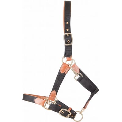 Lederen paardenhalster met riem T de T