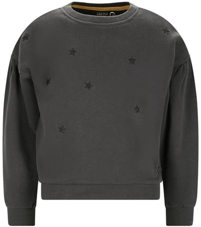 Like Flo - Danee Flo girls sweater with artwork antra - Antra - Maat 104