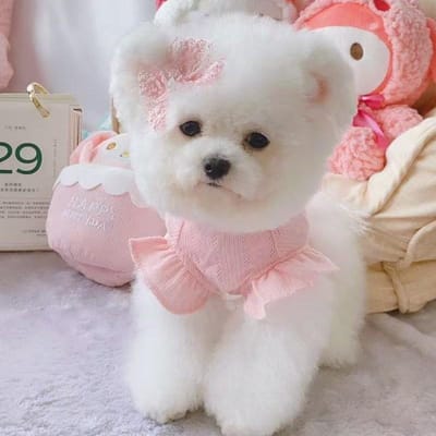 Lente en Zomer Hond Kat Kleding Schattig Super Schattig Huisdier Jurk Dunne Vliegende Mouw Vest Teddybeer Kleine Hond L roze