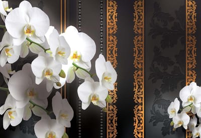 Fotobehang Flowers Floral Orchids Pattern | XL - 208cm x 146cm | 130g/m2 Vlies