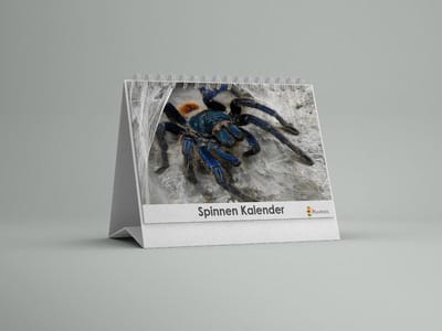 Spinnen Bureau-verjaardagskalender | Spinnen bureaukalender | Spinnen kalender 20x12.5 cm