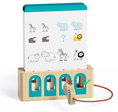 Logical Key Game - expert versie