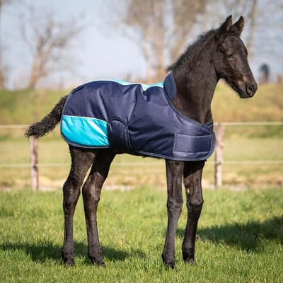 Harry's Horse Veulendeken Twotone 200gr Donkerblauw - 65