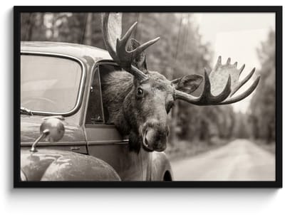 Poster in lijst - Fotolijst 90x60 cm - Posters - Eland - Auto - Gewei - Zwart - Wit - Posterlijst zwart - Decoratie - Wanddecoratie woonkamer - Muurdecoratie slaapkamer