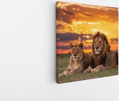 Saammp Canvas Schilderij - 2 Leeuwen in zonsondergang - Afrika -Dieren - Natuur - 20x20 - Foto op canvas - Wanddecoratie - Muurdecoratie Woonkamer - Slaapkamer decoratie - Canvas Print