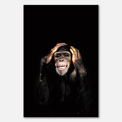 Poster op papier - 40 x 60 cm - Aap met handen op oren in het donker - PosterJunkie