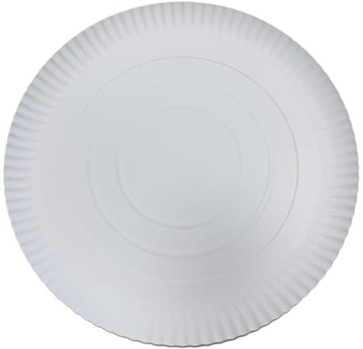Papieren Borden – Ø 30 cm – Wit – 100 Stuks – Grote Wegwerpborden – Pizza & Maaltijden