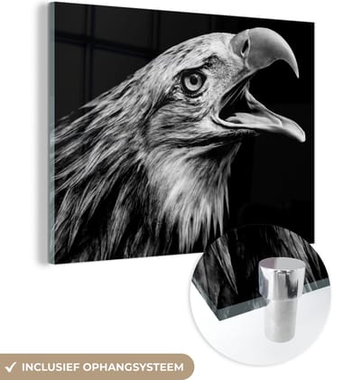 MuchoWow - Glasschilderij - Foto op glas - Acrylglas - Adelaar - Dier - Snavel - Natuur - Zwart-wit - Vogel - 160x120 cm - Glasschilderij adelaar - Schilderij glas - Glasschilderij dieren - Kamer decoratie