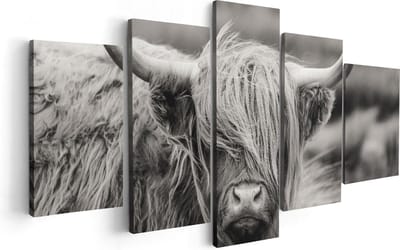 Artaza Canvas Schilderij Vijfluik Schotse Hooglander Koe - Zwart Wit - 100x50 - Foto Op Canvas - Canvas Print