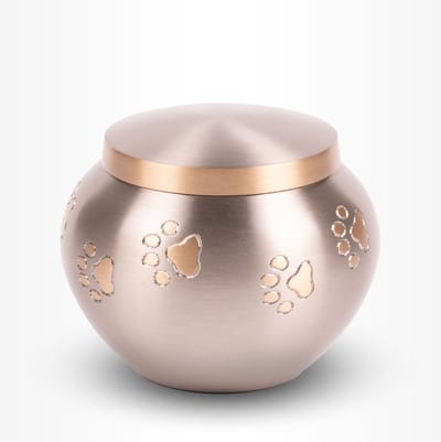 Dieren Urn Hond Kat Klein 500 ml Zilverkleurig Goudkleurig - Dieren Urn voor As Crematie - Urn Hond - Urn Kat