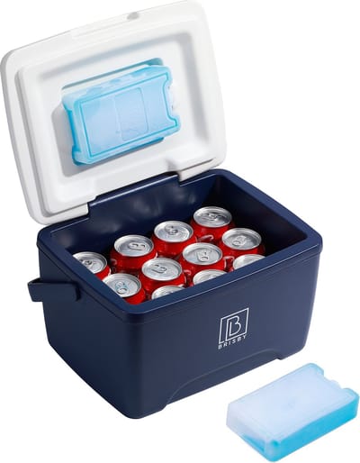 Brisby Kleine Koelbox 8 Liter – Blauw – Tot 40 uur isolatie – 2 koelelementen vergrendeld in deksel – Compact voor lunch en onderweg – Frigobox