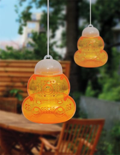 St. Helens Home & Garden Niet-giftige wespenval - horzelval - Pak van 2