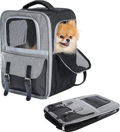 Kattenu katten rugzak reismand en kleine honden rugzak - Dierenrugzak - Doorzichtig