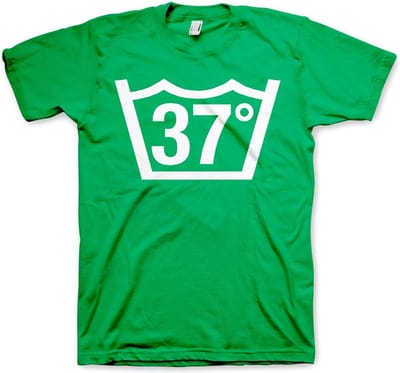 Hybris 37 Celcius Tee T-shirt Groen