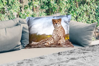 Buitenkussens - Luipaard - Dieren - Natuur - 60x40 cm - Weerbestendig