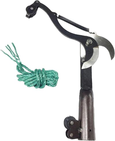 Takkenknippers - Hand snoeischaar - Tuinieren en enten - Dubbel katrolontwerp - 30x23cm - Zwart
