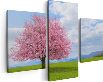 Artaza Canvas Schilderij Drieluik Roze Sakura Bloesem Boom In Het Groene Veld - 90x60 - Foto Op Canvas - Canvas Print
